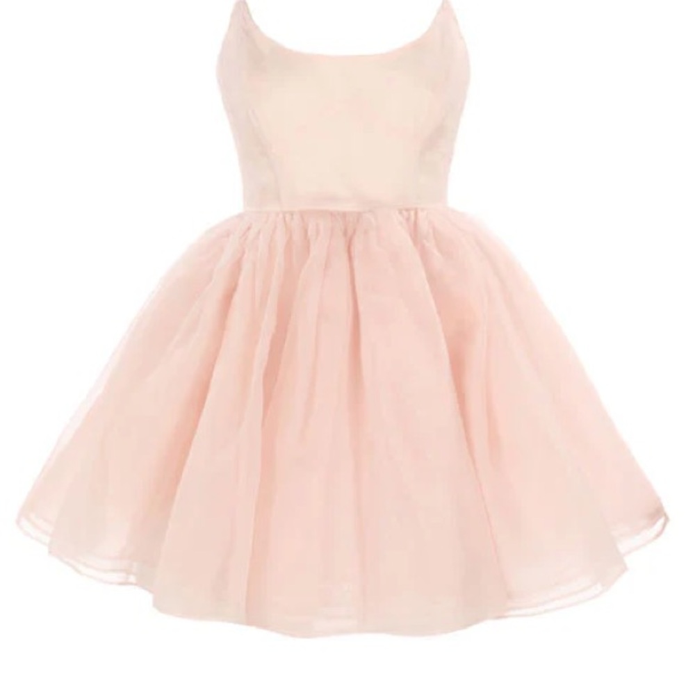 Selkie The Blush Veuve Dress XL NWT